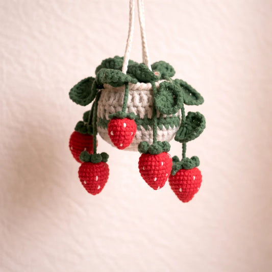 5 in 1 Hanging Plant Crochet Pattern Bundle